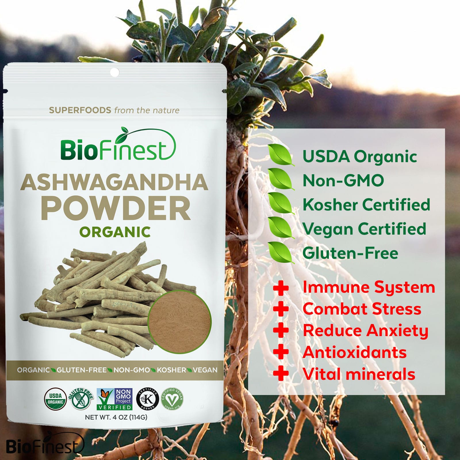 benefits of ashwagandha root powder in hindi